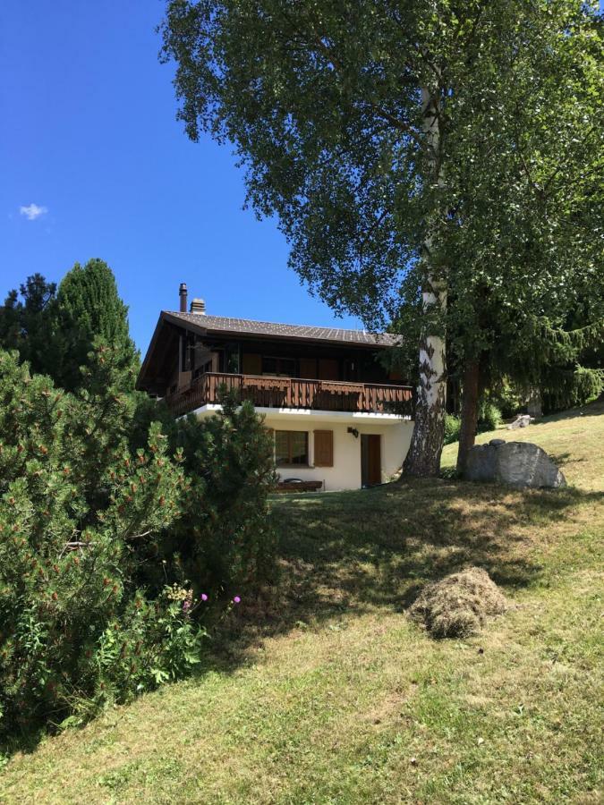 Ferienwohnung Im Chalet Firn - Og Bürchen Εξωτερικό φωτογραφία
